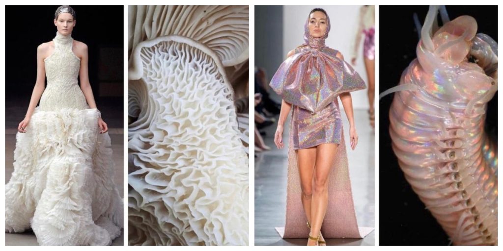 Designers Draw Inspiration From Nature As Their Muse For The Catwalk